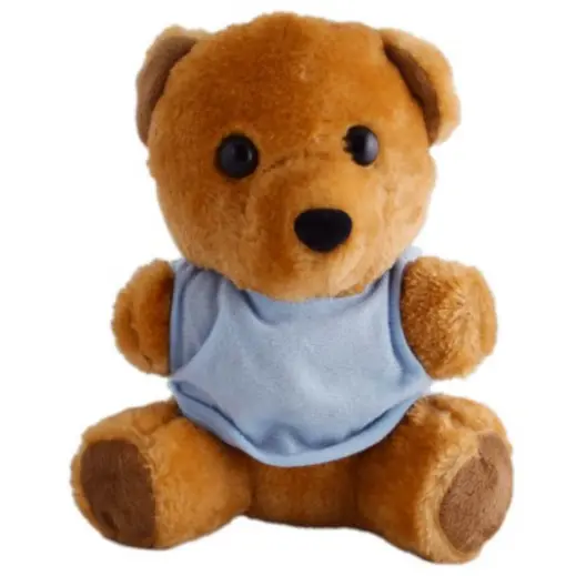 Teddy Plush Toy Sky Blue-Brown Front
